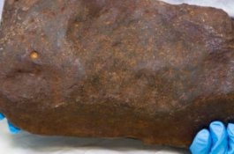 Dikira Emas, Pria Ini Ternyata Punya Meteorit Langka