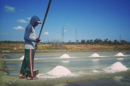 Petambak Garam Jeneponto Menjerit, Harga Turun dari Rp200 Ribu Jadi Rp30 Ribu