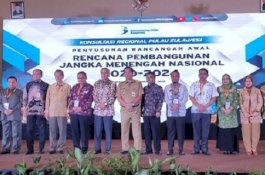 Hadiri Konsultasi Regional Pulau Sulawesi RPJMN, Ini Usulan Wagub Sulsel
