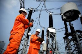 Polisi: Pohon Sengon Penyebab Mati Listrik Massal di Jawa