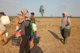 Kemarau Panjang, Sumber Air di Takalar Mulai Mengering