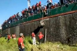 Sisi Lain Final Piala Indonesia; Insiden di Luar Stadion Menyakitkan