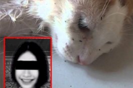 Kasihan pada Kucing, Gadis 16 Tahun Ini Meninggal Usai Digigit Kutu
