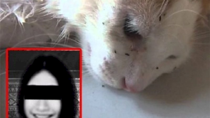 Sunisa dan kucingnya yang berkutu. (FOTO: CHINA PRESS)