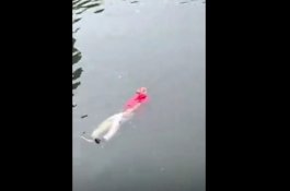 Warga Dihebohkan Dengan Mayat Mengambang, Tapi Tiba-tiba Bangun dan Melangkah