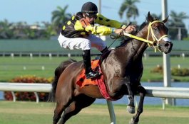 Pacuan Kuda Terkaya di Dunia Akan Digelar di Arab Saudi Tahun Depan