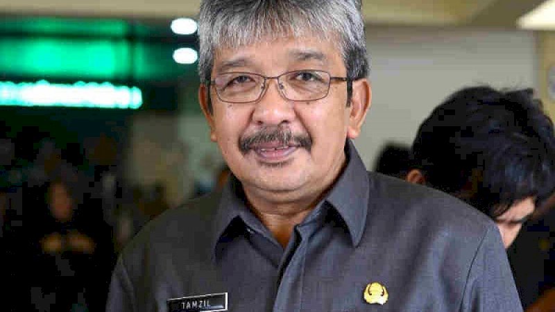 Kepala Dinas Kehutanan Sulsel, Muhammad Tamzil. 
