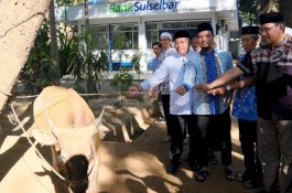 Pemprov Sulsel Bagikan 76 Ekor Hewan Kurban