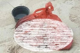 Ada Bayi dalam Kantong Plastik di Pantai Bontolebang Selayar, Polisi Tunggu Hasil Labfor