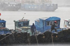 13 Tewas Saat Topan Lekima Hantam China