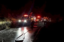 Mobil Polisi Terbakar Usai Dijatuhi Beruang