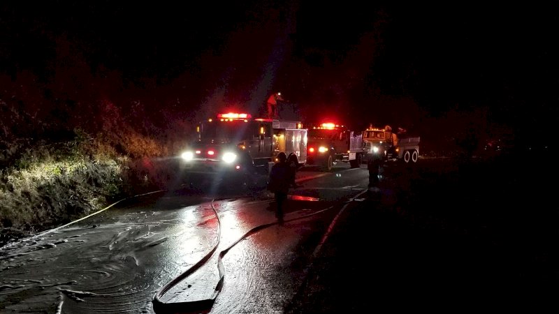 Mobil Polisi Terbakar Usai Dijatuhi Beruang