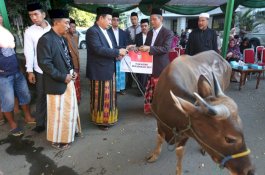 Iduladha, Pemkot Makassar Berkurban Sembilan Sapi