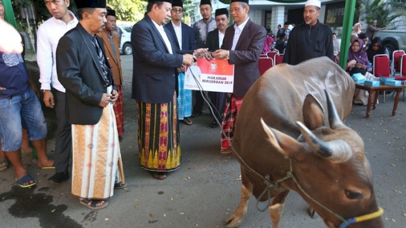 Pemerintah Kota Makassar menyembelih sembilan ekor sapi pada Iduladha 1440 Hijriah.