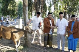 Lantamal VI Kurbankan 13 Sapi dan Lima Kambing 
