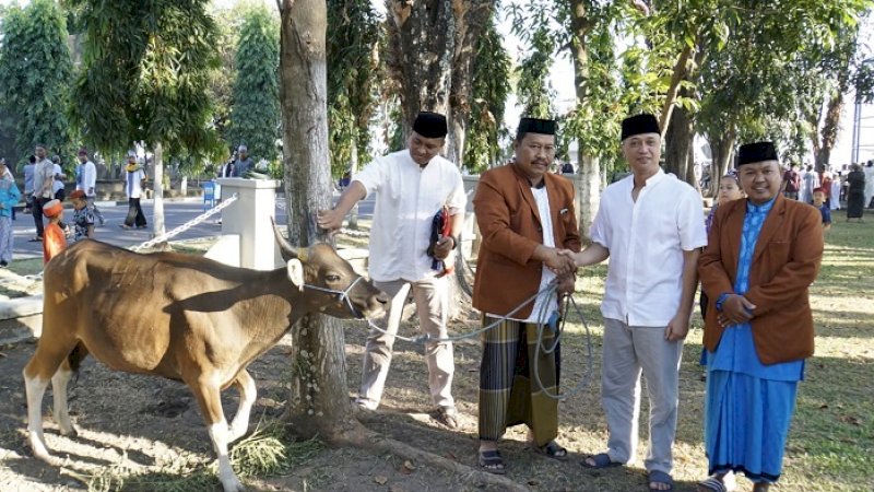 Danlantamal VI Laksamana Pertama TNI Hanarko Djodi Pamungkas menyerahkan hewan kurban secara simbolis kepada panitia di halaman Masjid Jamiatul Bahari.