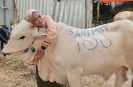 Selfie dengan Hewan Kurban, Bagaimana Hukumnya?