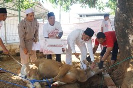 800 Warga Makassar Terima Bantuan Hewan Kurban Telkomsel