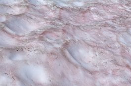 Lihat! Pemandangan Salju Semangka di Taman Nasional Yosemite