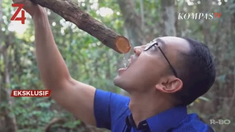 Presenter Kompas TV, Aiman Witjaksono meminum air dari potongan bajakah.