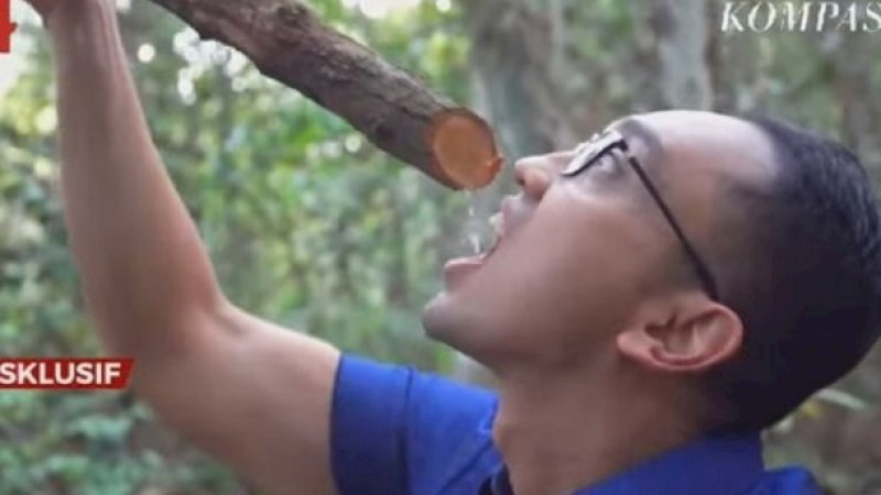 Presenter Kompas TV, Aiman Witjaksono meminum air dari potongan bajakah.