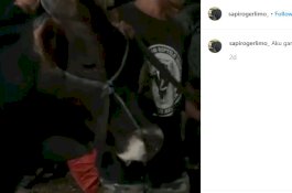 Gila, Sapi Kurban Atta Halilintar Saja Punya Akun Instagram