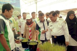 Wabup Sidrap Kunjungi Pasar Teknologi Advansia