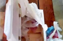 Anak Baru Lahir Meninggal Dunia, Suami Istri Terima Peti Mati Penuh Sampah dari RS