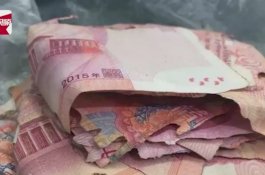 Nenek Amankan Jutaan Uang di Lemari, Hampir Ludes Dimakan Rayap