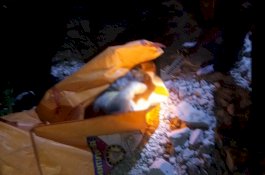 Terjatuh dari Ketinggian 100 Meter, Operator Jatuh Bersama Ekskavator Tewas di Pangkep