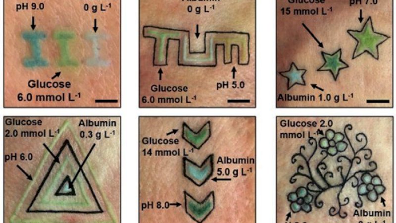Foto: Angewandte Chemie International Edition 2019