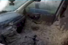 Malas Dibersihkan, Mobil Ini Dipenuhi Sarang Tawon