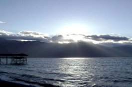 Suara Teriakan dari Pantai Talise hingga Baju Samin Bau Amis