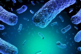 Kasus Listeria Meningkat, Spanyol Buat Peringatan Internasional