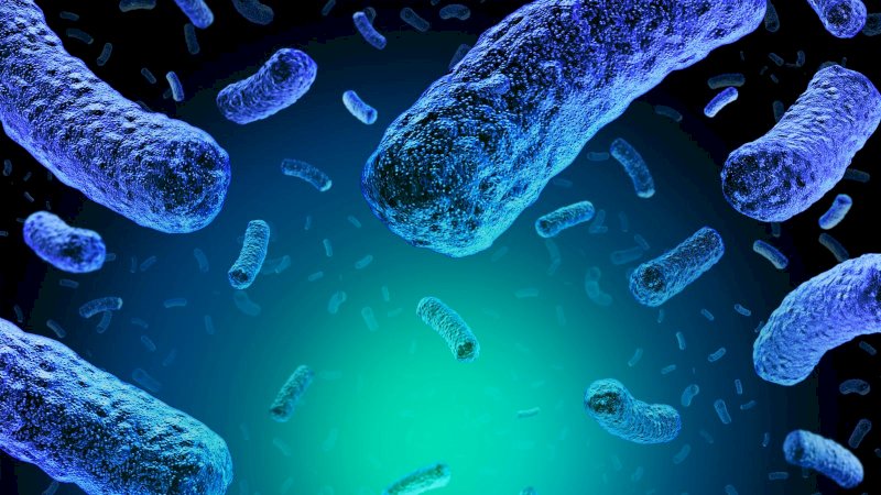 Kasus Listeria Meningkat, Spanyol Buat Peringatan Internasional