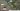 Foto Satelit Menunjukkan Adanya Kebocoran Nuklir di Korea Utara