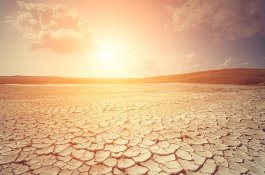 Bulan Juli Tahun ini Adalah Bulan Terpanas di Dunia