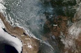 Kebakaran Hutan Amazon Dapat Dilihat dari Luar Angkasa