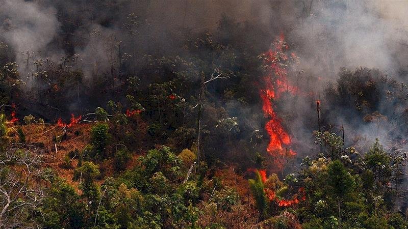 Kebakaran Amazon, Sejumlah Negara di Eropa Ancam Putus Dagang dengan Amerika Selatan