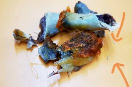 Ada Belatung dalam Ayam Goreng Pesanan, Jawaban Manajer Restoran Ini Bikin Sakit Hati