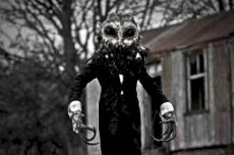 Pemburu Hantu Akui Rekam Manusia Burung Hantu di Kuburan