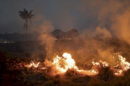 Brasil Kerahkan Pasukan Militer untuk Perangi Kebakaran Amazon