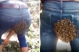 Lihat! Koloni Lebah Menggantung di Bokong Seorang Pria