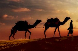 Empat Nabi Ini Masih Hidup Sampai Sekarang