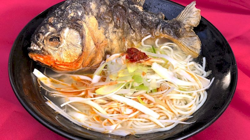Ramen piranha