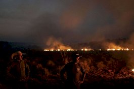 Pemimpin G7 Sepakat Bantu Brasil Memerangi Kebakaran Amazon