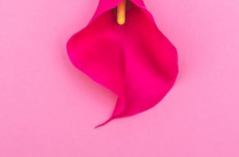 Malam Pertama, Vagina Mary Tak Bisa 