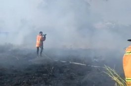 Januari hingga Agustus 2019, 31 Kasus Kebakaran Telah Terjadi di Gowa