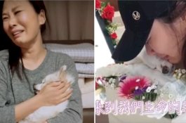 Video Mengharukan, Pemilik Bernyanyi Menghibur Anjingnya yang Sekarat