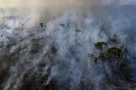 Negara G7 Sumbang Rp313 Miliar untuk Menyelamatkan Amazon